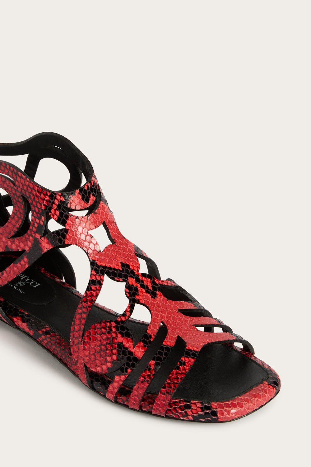 Low Gladiator Sandals
 WOMAN Pucci
