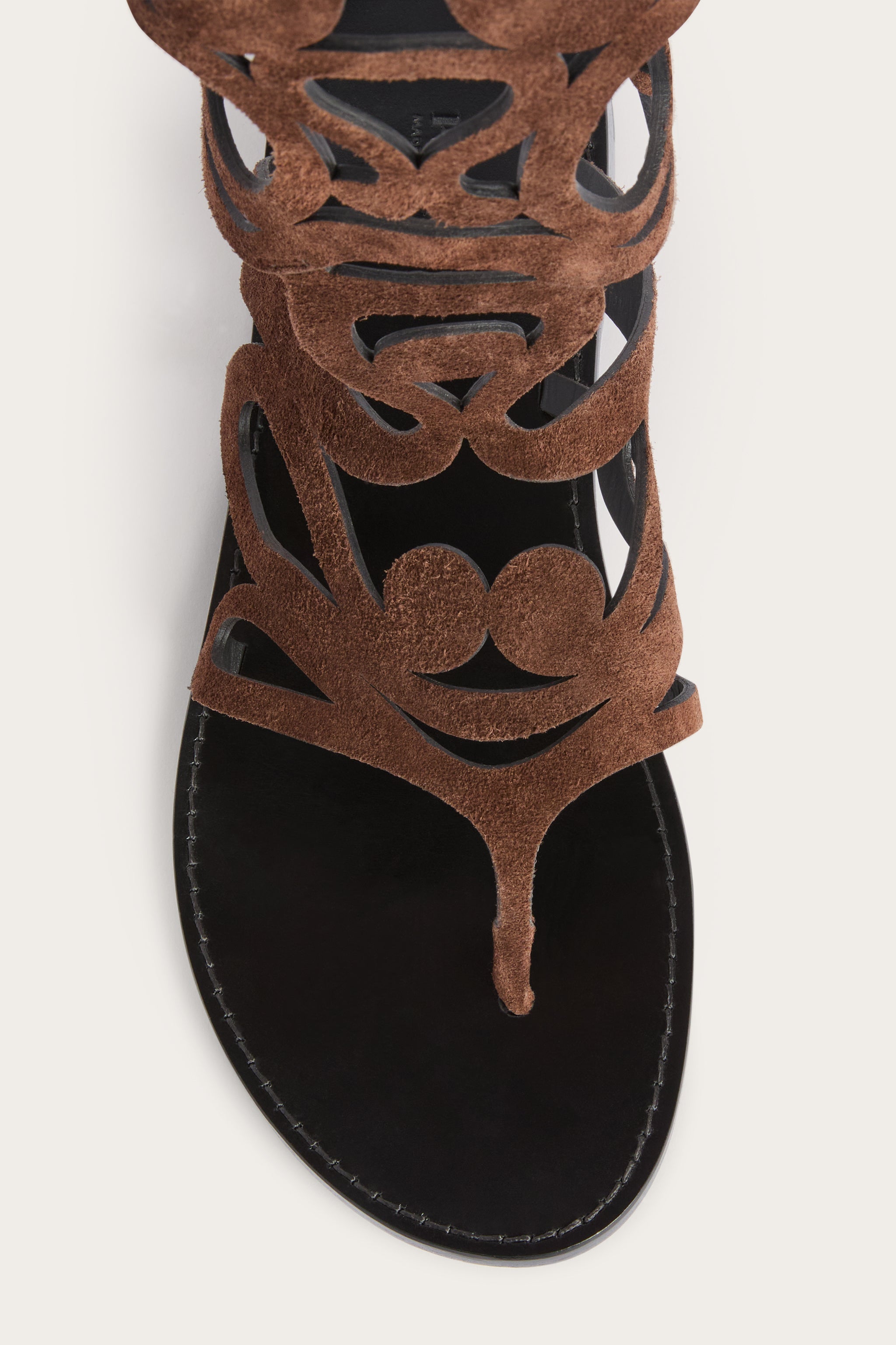 Gladiator Sandals
 WOMAN Pucci