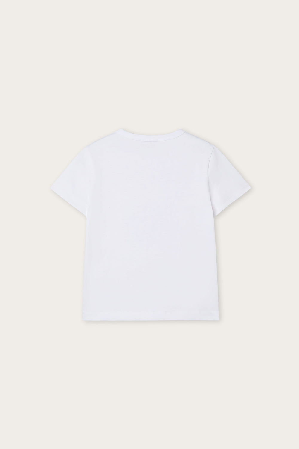 T-shirt with Embroidered Logo and Fish
  Pucci