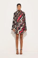 Istrice Print Silk Twill Dress
 WOMAN Pucci