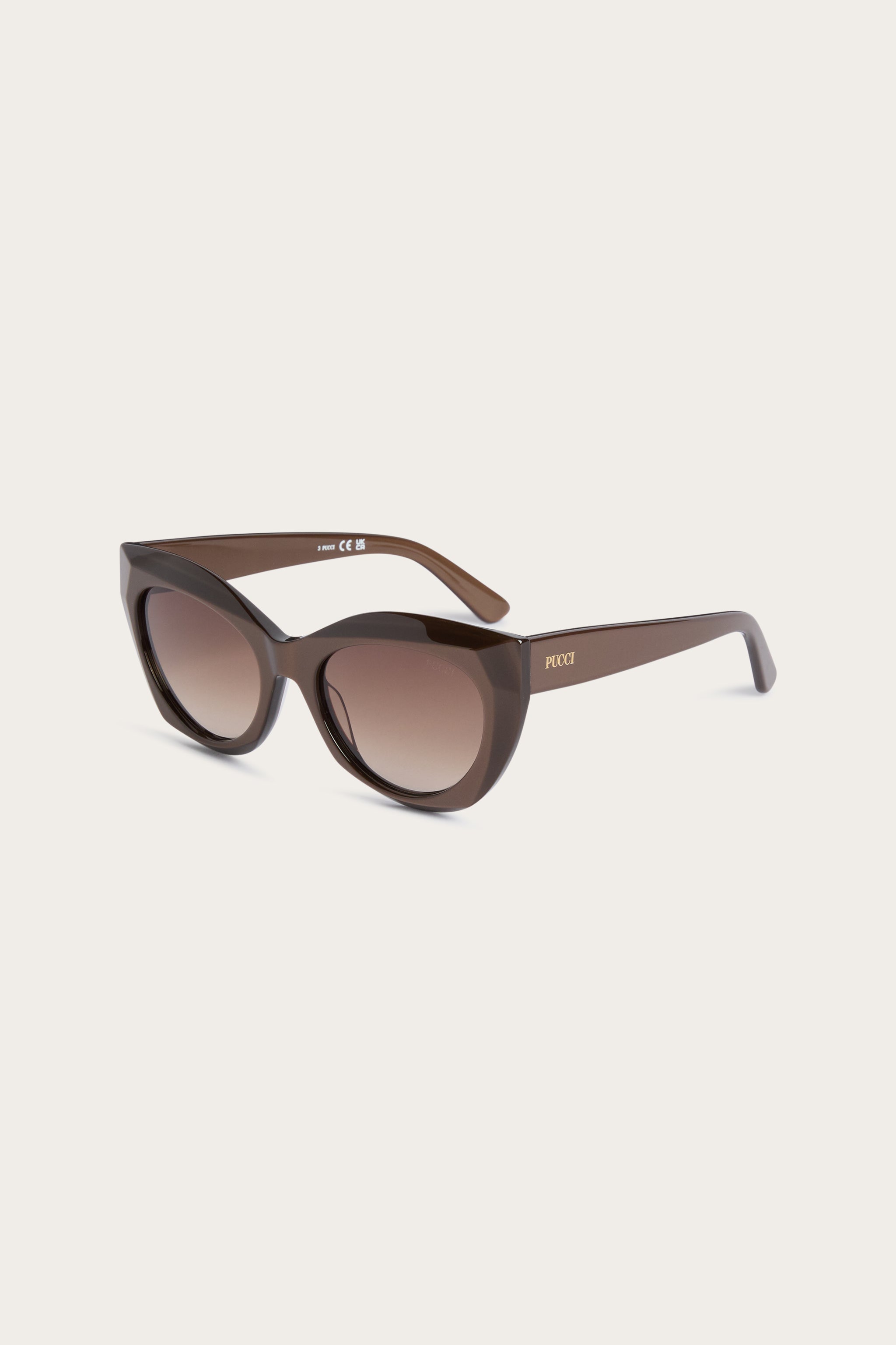 Pucci Oversized Cat-Eye Sunglasses
 WOMAN Pucci