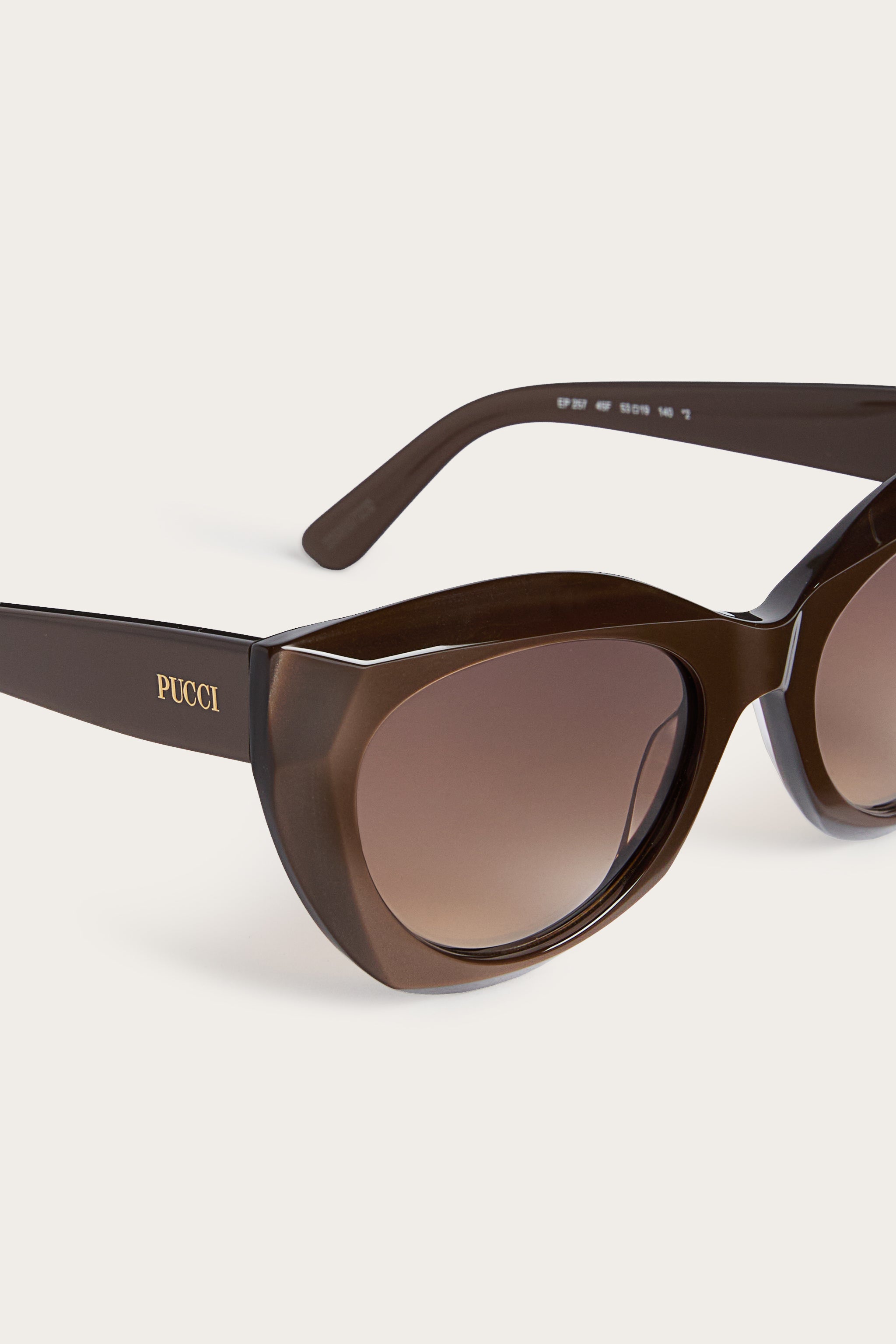 Pucci Oversized Cat-Eye Sunglasses
 WOMAN Pucci