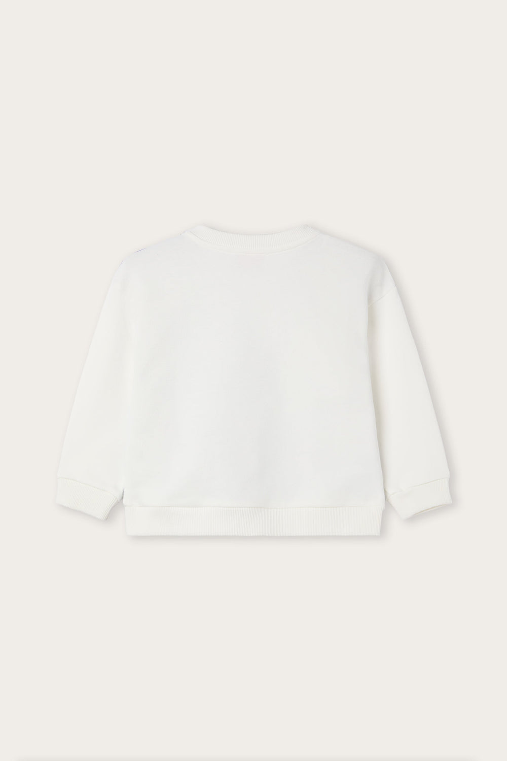 Stella Print Sweatshirt
  Pucci