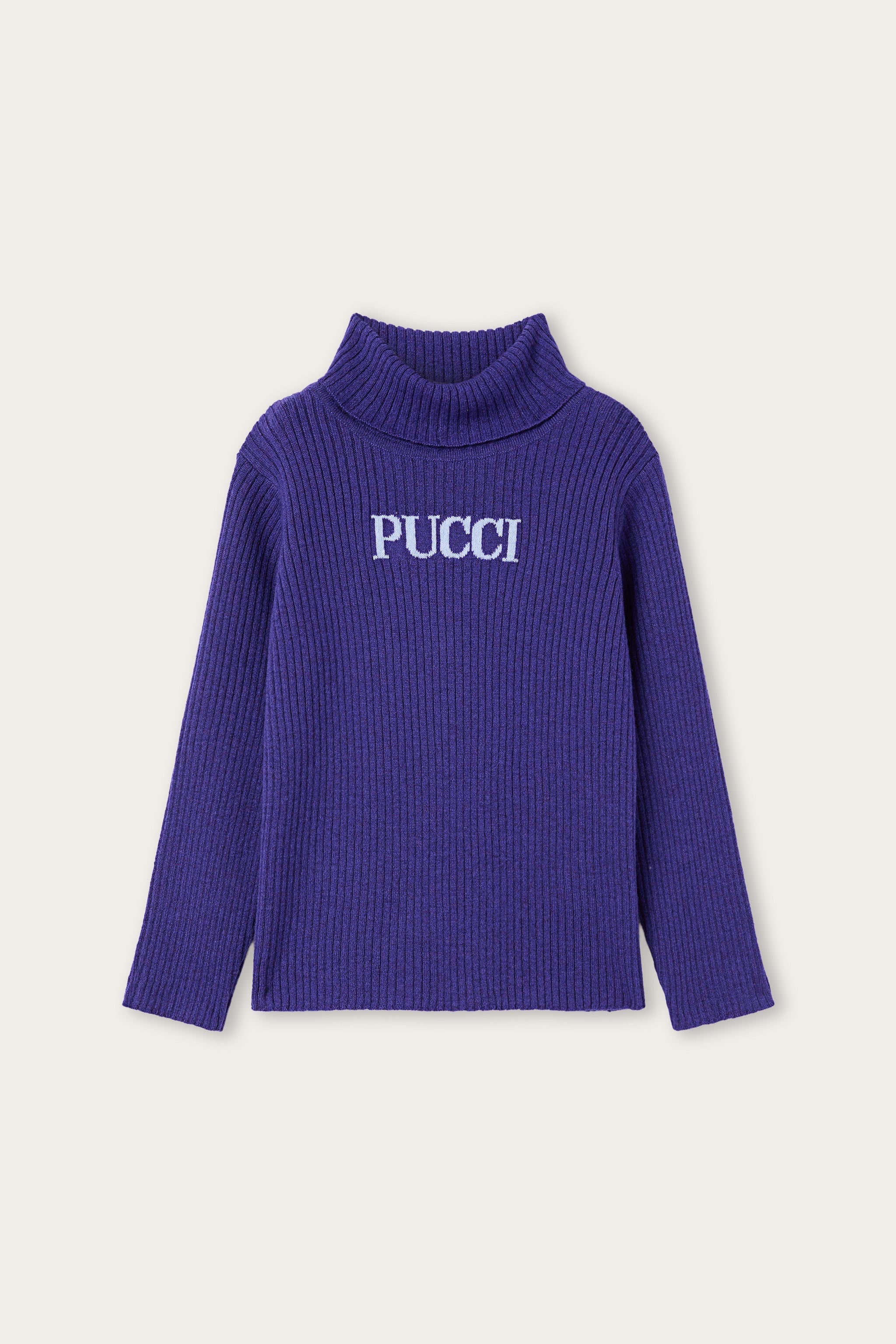 Logo Turtleneck Sweater
  Pucci