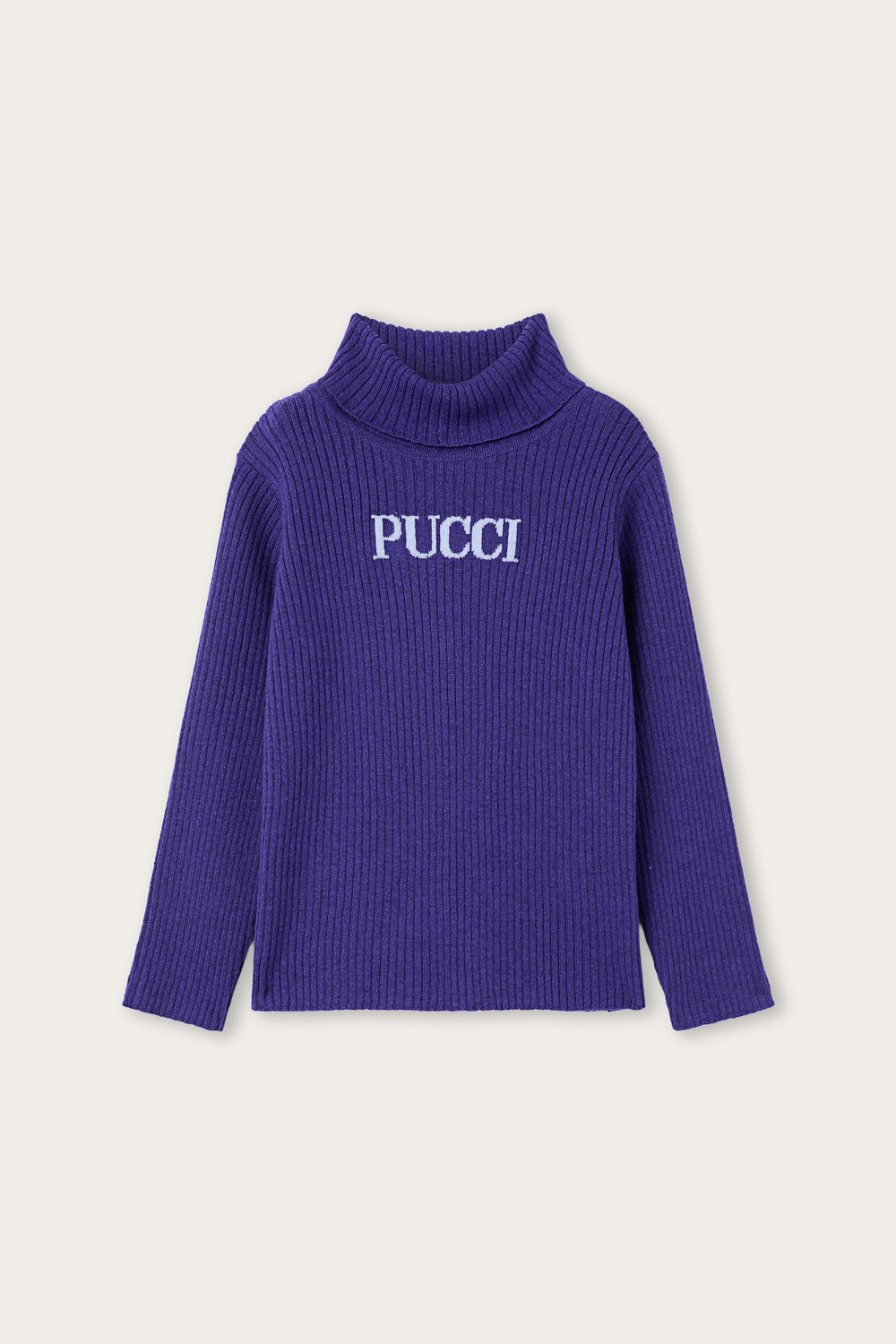 Logo Turtleneck Sweater
  Pucci