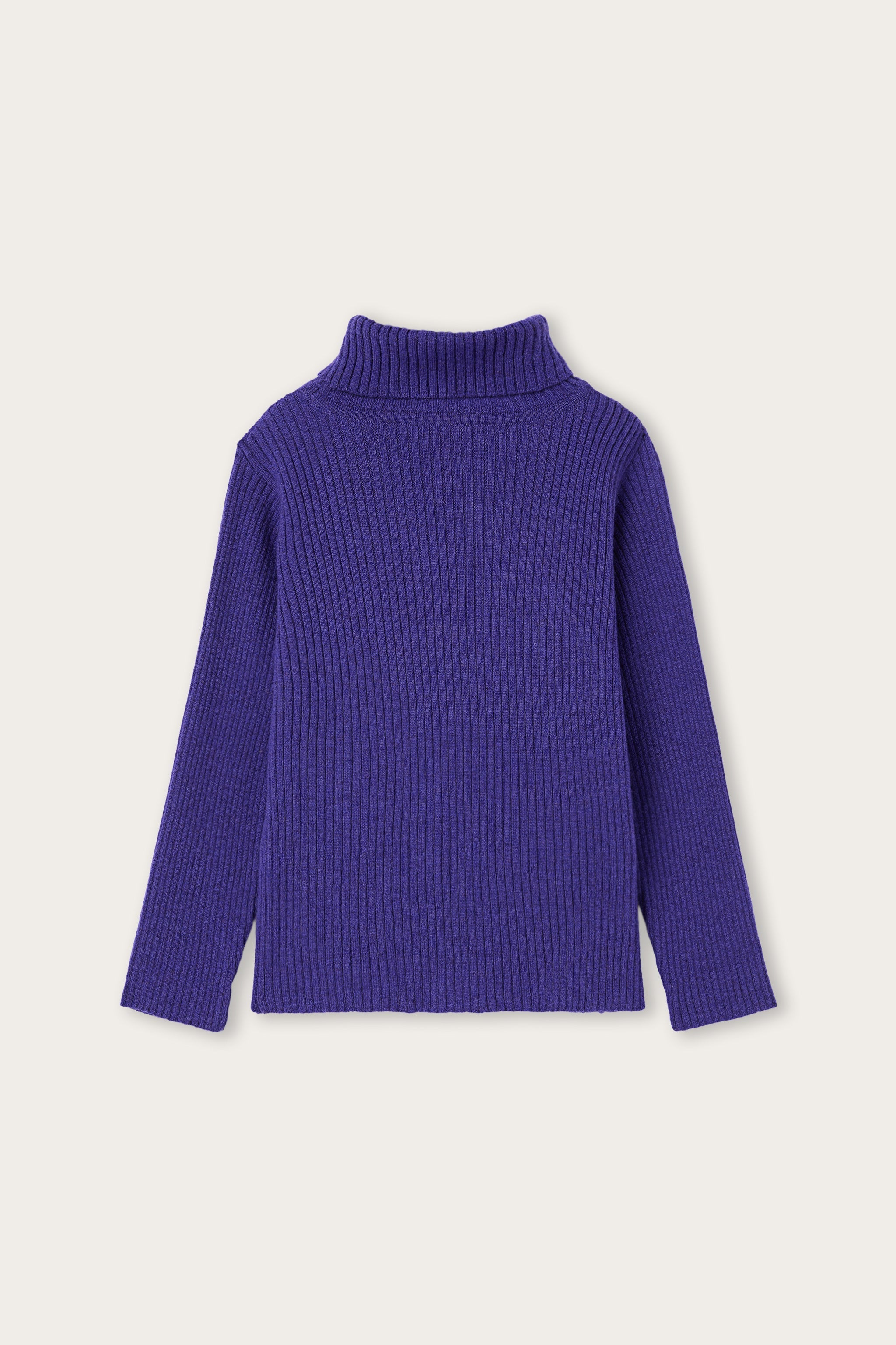 Logo Turtleneck Sweater
  Pucci