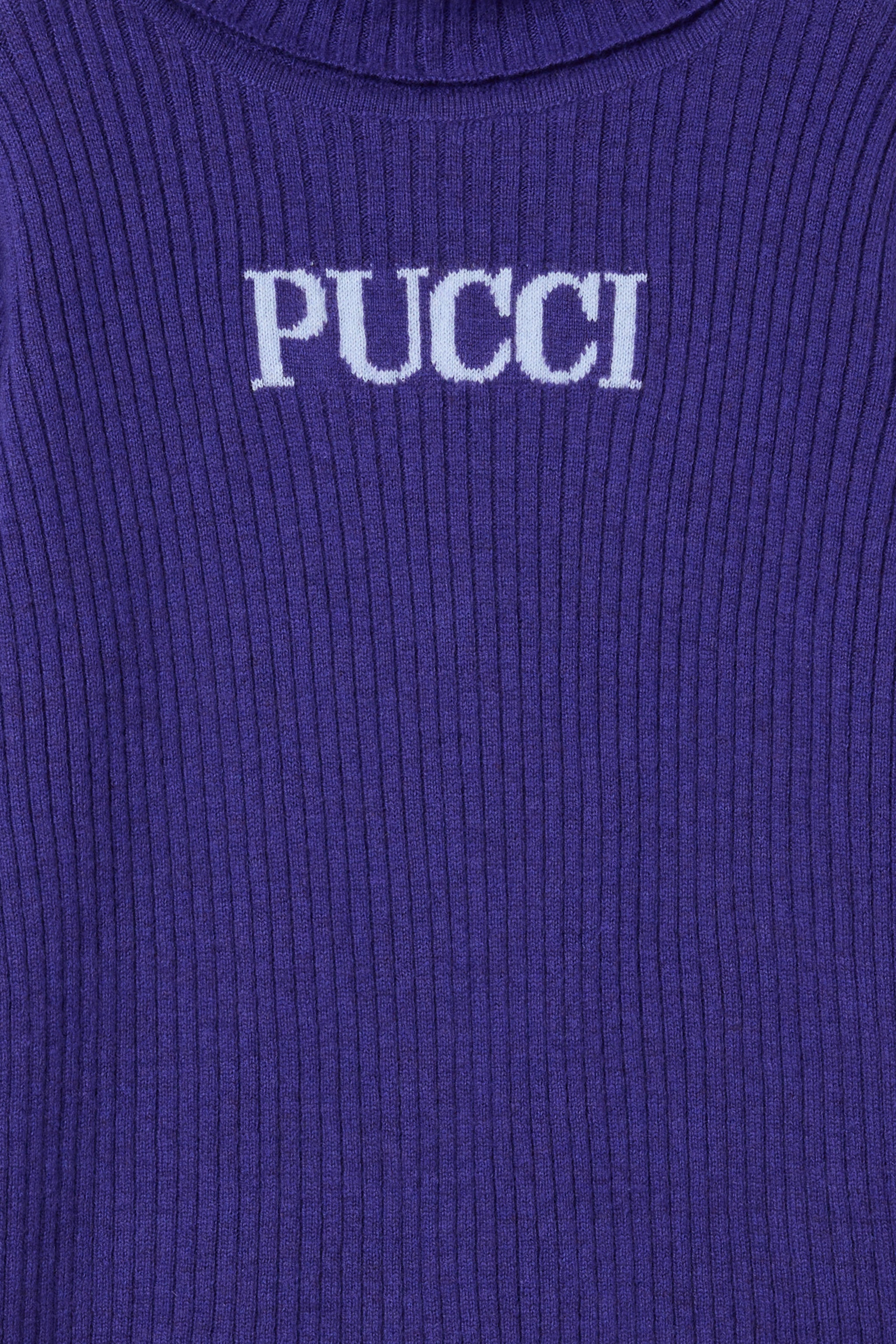 Logo Turtleneck Sweater
  Pucci