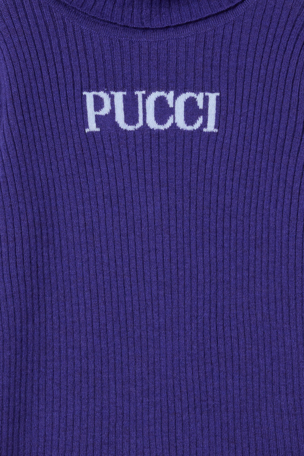 Logo Turtleneck Sweater
  Pucci